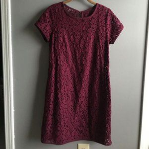 Lace Shift Dress Ann Tayor Loft
